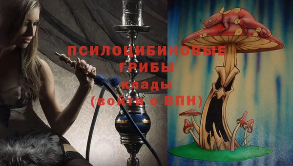 ешки Алексин