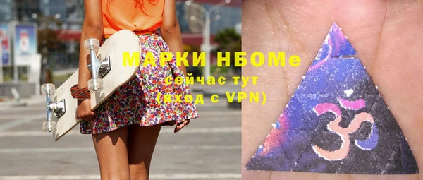ешки Алексин