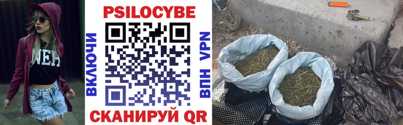 Псилоцибиновые грибы прущие грибы  как найти   Кукмор 